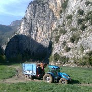 lavori forestali (10)
